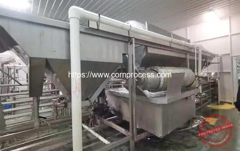 Rotary-Drum-Type-Corn-Kernel-Washing-Cleaning-Machine-Installation